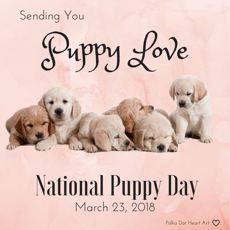 Sending You Puppy Live! National Puppy Day. March 23, 2018. Designed by Polka Dot Heart Art. Dot Heart, National Puppy Day, Puppy Day, Puppy Art, Animal Advocacy, Dog Print Art, Cute Dogs And Puppies, Animal Quotes, Heart Art