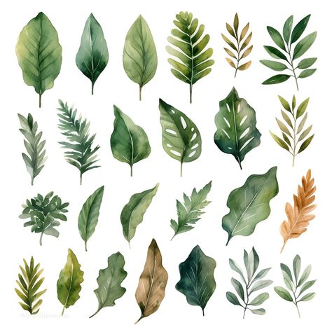 Watercolor Foliage, Leaves Clipart, Foliage Leaves, Spring Watercolor, Leaf Clipart, Art Details, Watercolor Leaves, Etsy Crafts, Digital Invitations