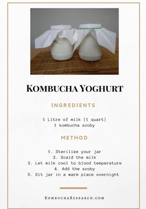 Kombucha Yogurt, Diy Kombucha, Fermented Dairy, Fermented Drinks, Kombucha Flavors, Kombucha Scoby, Homemade Kombucha, Kombucha Recipe, Kefir Recipes