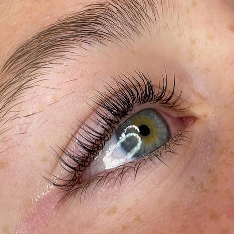 lash lift and tint goals 😍😍 lash lift and tint done on @_helenaschmoll <3 @thelashshop.ca - lash lift system @refectocil_international @refectocilnorthamerica - black tint #lashliftgoals #lashlift #lashlifting #lashliftandtint #lashlifts #lashliftingpro #lashlifttint #eyelashlift #eyelashlifting #eyelashliftandtint #eyelashlifts #lashtint #lashtinting #lashtintandlift #lashes #lasheslasheslashes #lashesonfleek #cleangirlaesthetic #cleangirllook #thelashshop #refectocill Lash Lifts And Tint, Lash Lift Aesthetic, Natural Lash Lift, Lash Tint And Lift, Jade Aesthetic, Brows Waxing, Eyelash Lift And Tint, Lash Lift And Tint, Lash Tint