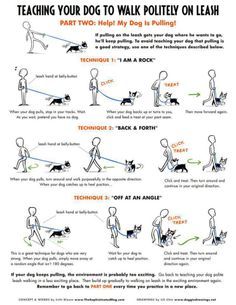 Malinois Training, Loose Leash Walking, Dog Info, Dog Hacks, Dog Care Tips, Training Your Puppy, Pet Hacks, Dog Training Obedience, Dog Obedience