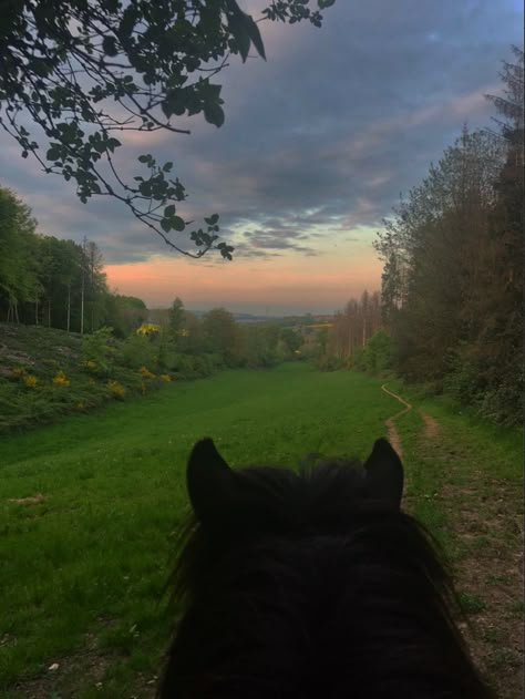 Sienna + Core + Aesthetic, Sunset In The Forest Aesthetic, Horse Core Aesthetics, Alinacore Aesthetic, Brianna Aesthetic Core, Jordyncore Aesthetic, Adrianna Aesthetic, Zuza Core, Sienna Core Aesthetic