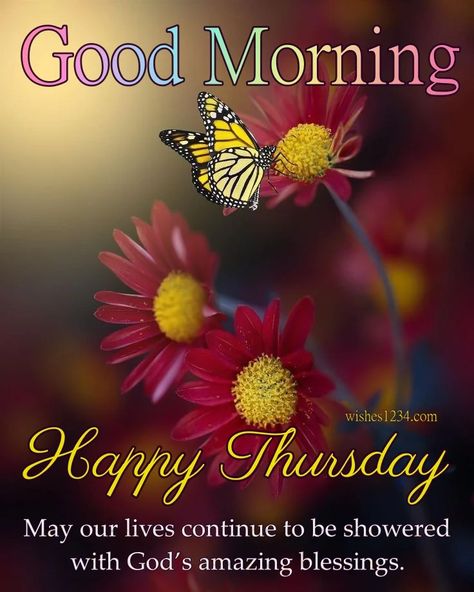 Thursday Morning Quotes, Happy Thursday Morning, Good Morning Thursday Images, Happy Thursday Images, Thursday Inspiration, Good Morning Animals, Thursday Images, Thursday Greetings, Thursday Blessings