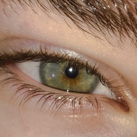 Green Eye Guy Aesthetic, Green And Blue Eyes Aesthetic, Green Eyes Men Aesthetic, Boys Eyes Aesthetic, Types Of Green Eyes, Hazel Green Eyes Aesthetic, Green Eyes Aesthetic Male, Green Eyes Guy, Green Eyes Men