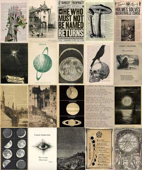 Vintage Aesthetic Wall Collage Kit, Dark Academia Decor, Vintage Astronomy Posters, Vintage Botanical Wall Art, 100 Jpgs Digital Prints - Etsy UK Sticker #sticker Stickers #stickers freesticker #freesticker freestickers #freestickers free download sticker #freedownloadsticker 12.384 Fairy Grunge Wall Collage, Wall Collage Dorm, Grunge Wall Collage, Grunge Wall Decor, Astronomy Posters, Vintage Aesthetic Collage, Grunge Wall Art, Fairycore Decor, Aesthetic Fairy Grunge