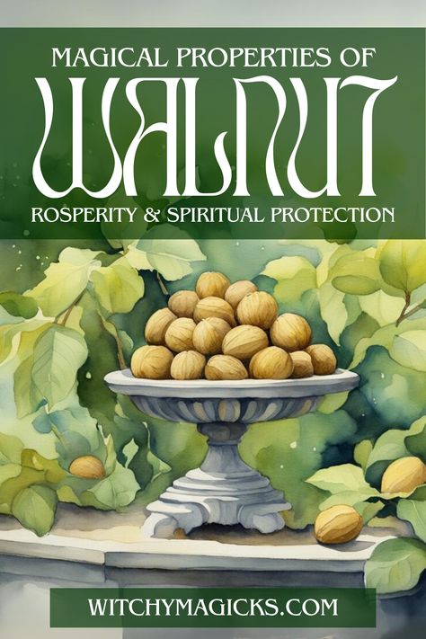 Explore the mystical properties of walnuts! Known for bringing prosperity and spiritual protection, walnuts are a powerful symbol in magic and folklore. Whether used in rituals, charms, or simply enjoyed as a snack, walnuts can enhance your spiritual journey and attract abundance. Embrace walnuts for prosperity and divine shielding.  #WalnutMagic #Prosperity #SpiritualProtection #MagicalProperties #Abundance #Folklore #SpiritualJourney #Walnuts #HerbalMagic #Herbs #Walnut #WitchyMagicks Walnut Magical Properties, Walnut Pesto, Spiritual Bath, Walnut Ink, Attract Abundance, Herbal Magic, Mystical World, Spiritual Protection, Nutritious Snacks