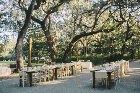 Outdoor Wedding Reception Lighting, Eden Gardens State Park, Best Wedding Websites, Old World Wedding, Eden Gardens, State Park Wedding, Rustic Glam Wedding, Wedding Reception Lighting, Bistro Lights