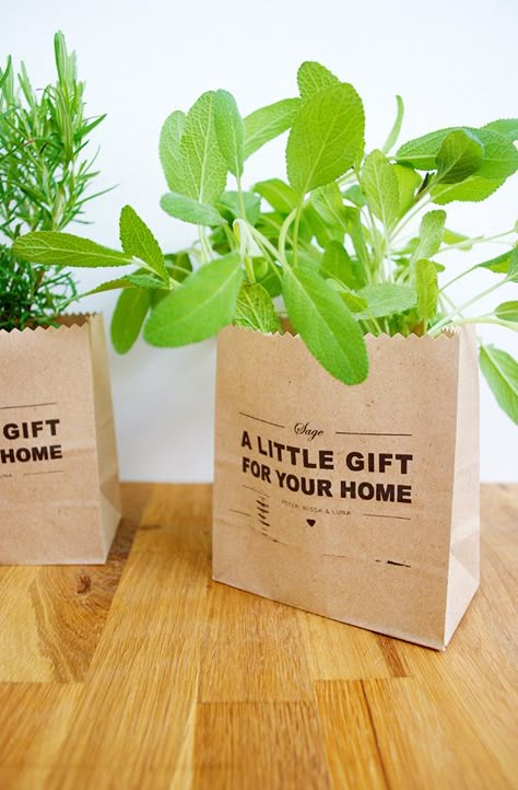 DSC_0014 Sustainable Product Packaging, Christmas Plants Gifts, Herb Gifts, Herb Shop, Mini Plant, Housewarming Gift Ideas, Christmas Plants, Best Housewarming Gifts, Plant Projects