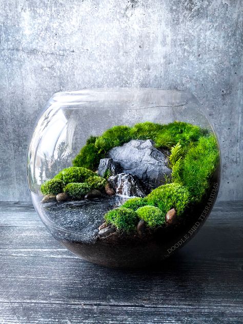 Moss terrarium with waterfall Terrarium Scene, Tanaman Air, Build A Terrarium, Terrarium Bowls, Beautiful Terrariums, Mini Terrarium, نباتات منزلية, Deco Nature, Moss Terrarium