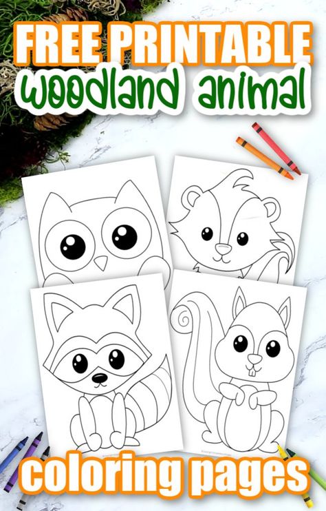 Woodland Forest Animals Archives - Simple Mom Project Skunk Craft, Forest Animals Preschool, Forest Animal Crafts, Squirrel Coloring Page, Simple Mom Project, Forest Animals Theme, Forest Crafts, Woodland Animals Theme, Owl Coloring Pages