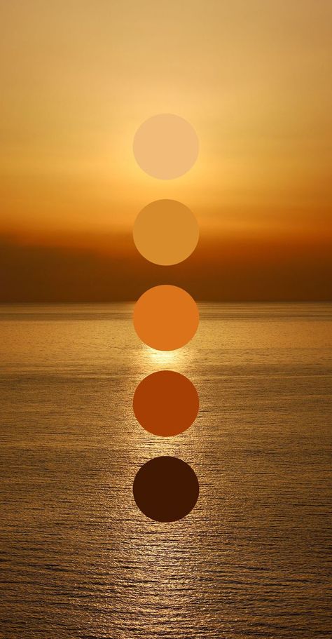 Sunset Color Palette, Sunrise Colors, Color Design Inspiration, Stunning Hairstyles, Color Schemes Colour Palettes, Nature Color Palette, Design Seeds, Color Palate, Color Palette Design