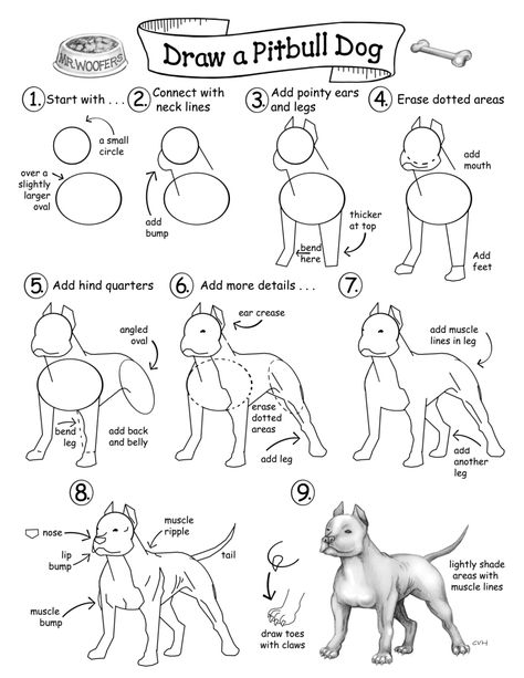 How to Draw Cool Stuff: How to Draw a Pitbull. How To Draw A Pitbull, Drawing Pitbull, Pit Bull Drawing, Sketches Cartoon, Pitbull Drawing, Dog Drawing Tutorial, Pitbull Art, Draw Manga, Dog Steps