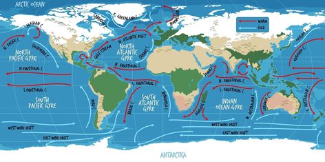 The ocean current world map with names Ocean Currents Map, Tectonic Plate Boundaries, Plate Boundaries, Subduction Zone, Seismic Wave, Realistic Cartoons, Historical Timeline, Earth Images, Ocean Current