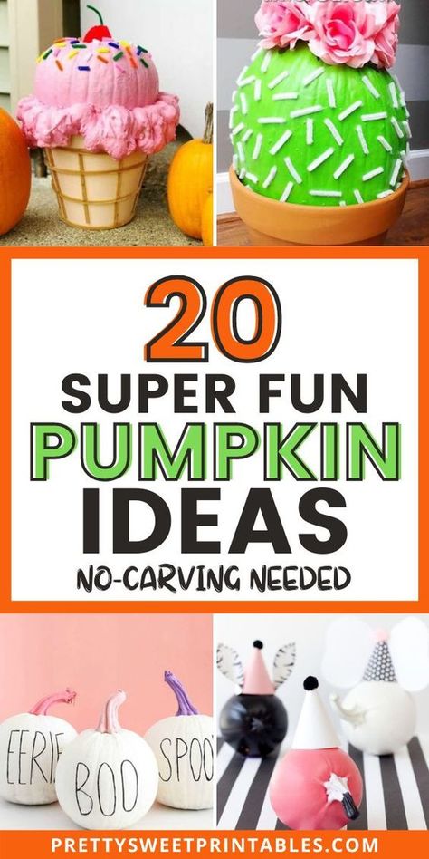 If you love pumpkin painting and decorating, you'll love these no carve pumpkin ideas. We have 20 pumpkin decorating ideas that will inspire you to DIY your pumpkins with the the kids. Have fun this Halloween season and make your pumpkin a no-carve one! #halloween #halloweendecor #pumpkindecor #fall Cutest Pumpkin Decorating Ideas, No Craved Pumpkins Ideas For Kids, Mini Pumpkin Decorating Contest, Cute No Carve Pumpkin Ideas, S’mores Pumpkin Decorating, Fun Ways To Decorate Pumpkins, Halloween Kids Painting Ideas, Non Carved Decorated Pumpkins Paint, Mini Pumpkin Contest Ideas