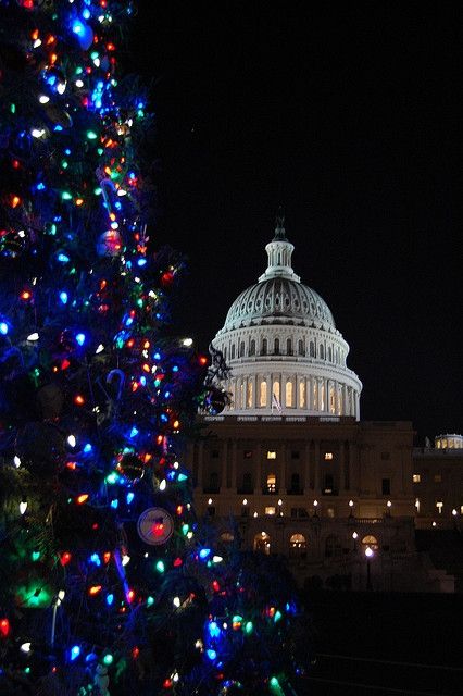 What to do, where to go, what to nosh: the ultimate guide to Christmas in Washington, DC Christmas In Washington Dc, Dc Christmas, Visit Dc, 7 Continents, Christmas Guide, Nice Pic, Christmas Family Photos, Places Of Interest, Christmas Family