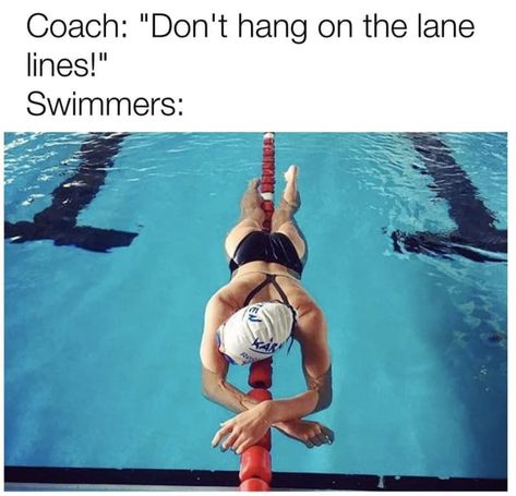 27 Hilarious Pictures That Will Make Way Too Much Sense To Swimmers Swimmer Gifts, Swim Problems, Swimmer Memes, Swimmer Quotes, Swimming Jokes, Swimming Funny, Swimming Motivation, Swimming Memes, Alana Blanchard