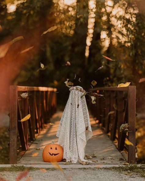 Halloween Pictures Family, Halloween Costume Mini Session, Toddler Ghost Photoshoot, Spooky One First Birthday Photoshoot, Halloween Mini Session Outdoor, Halloween Mini Session Studio, Witch Photoshoot Kids, Kids Photoshoot Ideas Outdoors, Toddler Halloween Photoshoot