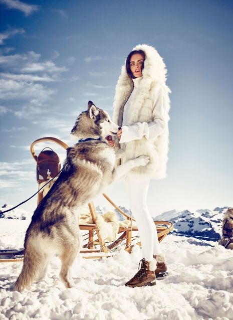 Dog Editorial, Husky Photography, Aspen Ski, Dog Sled, Editorial Photoshoot, Snow Outfit, Snow Bunnies, Fur Parka, Winter Dog