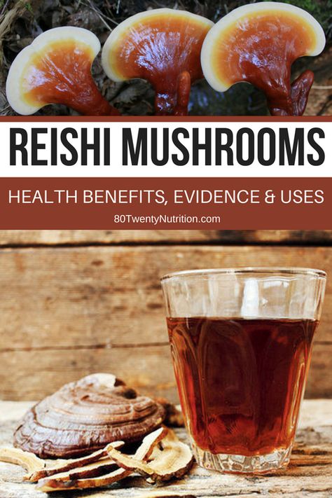 Reishi Mushroom Benefits, Reishi Mushrooms, Mushroom Benefits, Reishi Mushroom, Holistic Remedies, Wellness Tips, Herbal Remedies, Natural Healing, Me Time