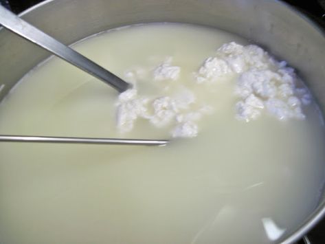 Make Mozzarella Cheese, Homemade Mozzarella Cheese, Homemade Cottage Cheese, Cheese Recipes Homemade, Cheese Making Recipes, Goat Milk Recipes, Goat Recipes, Mozzarella Recipes, Cottage Cheese Recipes