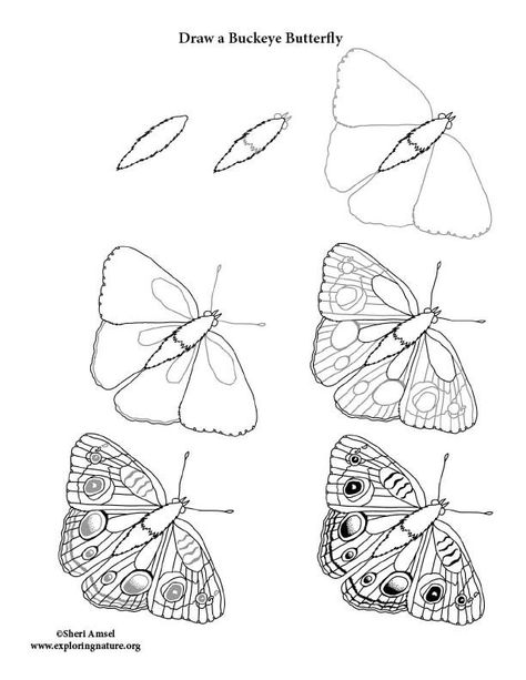 Moths Drawing Simple, How To Draw Moth Wings, Moth Sketch Simple, Easy Moth Drawing, How To Draw A Moth, Moth Line Drawing, Moth Drawing Simple, Insects Drawings, Embroidery Reference