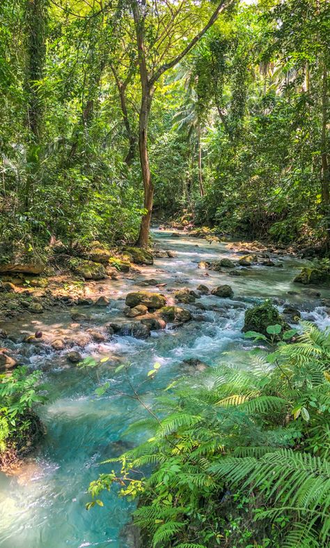 Alegria Cebu Aesthetic, Cebu Philippines Aesthetic, Nature In Philippines, Cebu City Photography, Cebu Aesthetic, Philippines Waterfalls, Places In Philippines, Cebu Photography, Kawasan Falls Cebu