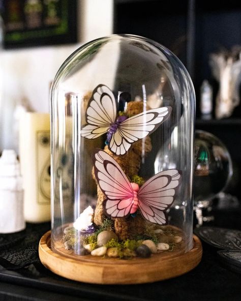 ✨Butterfree Lovers Terrarium✨ To see all available pokémon taxidermy, oddities, bugs, skulls, skeletons, and more, check out our website and Etsy shop! Link in bio 🖤 . . #pokemon #oddities #pokemonart #videogameart #butterfree #pokemoncommunity #aesthetic Gengar Terrarium, Pokemon Clay Art, Ideas Arcilla, Bug Taxidermy, Taxidermy Oddities, Pokemon Decor, Pokemon Terrarium, Taxidermy Decor, Mini Terrarium