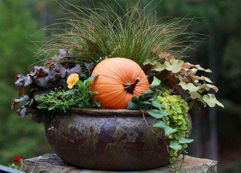 You can add pumpkins in the pot on the patio after all the other flowers die and you will still have the fountain grass.... Vegetable Arrangements, Food Forests, Fall Pots, Fall Container Gardens, Fall Containers, Coral Bells, Container Gardening Flowers, Fall Planters, Decoration Plante