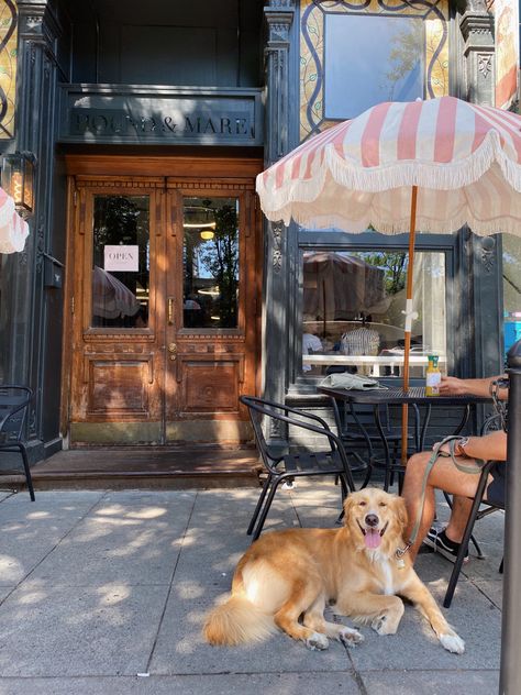 Dog At Restaurant, Dog Friendly Coffee Shop, Dog Cafe Aesthetic, Dog Coffee Shop, Salty Dog Cafe, Dog Restaurant, Coffee In Paris, Pet Station, Relaxed Dog