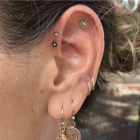 Eat Piercings, Ear Ideas, Minimalist Ear Piercings, Ear Curation, Piercing Inspo, Cool Ear Piercings, Pretty Ear Piercings, Body Accessories, Cool Piercings