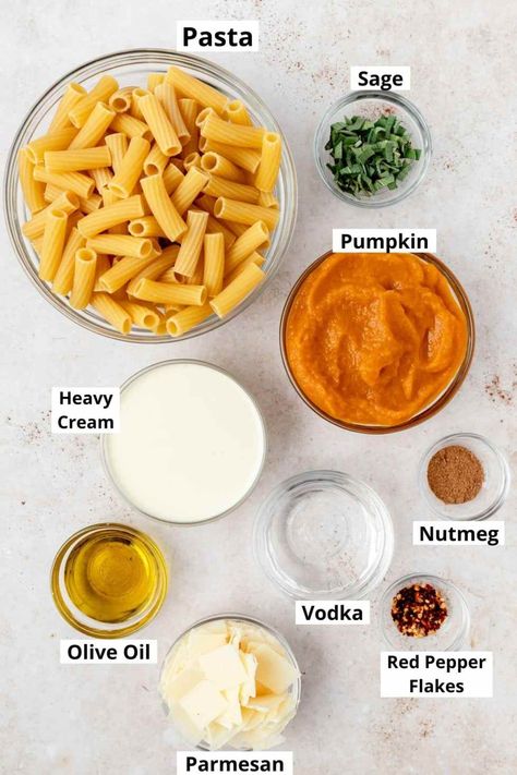 Pumpkin Flavored Desserts, Vodka Sauce Recipe, Pumpkin Pasta Sauce, Pumpkin Puree Recipes, Savory Pumpkin Recipes, Pumpkin Pasta, Vodka Sauce, Fall Flavors, Sauce Recipe