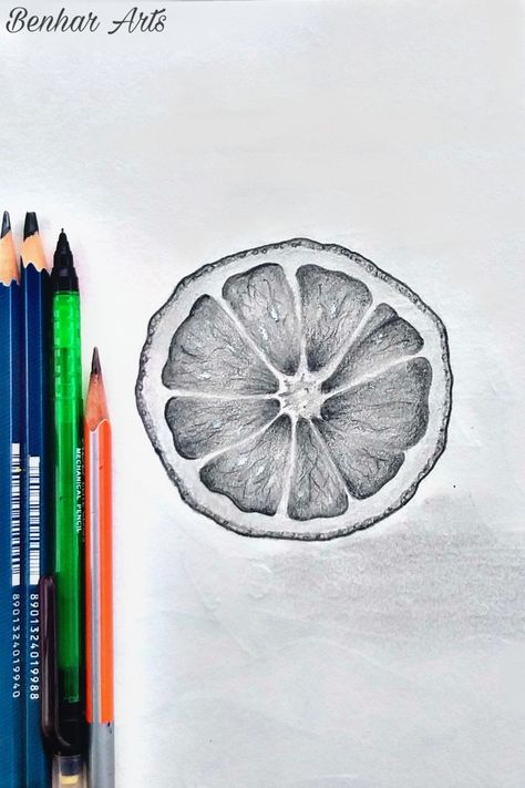 Fruit Sketches Pencil, Sliced Orange Drawing, Pencil Shading Object Drawing, Fruits Sketches Pencil, Fruit Drawing Pencil Sketches Easy, Orange Pencil Drawing, Natural Objects Drawing, Orange Sketch Pencil, Fruit Sketch Pencil