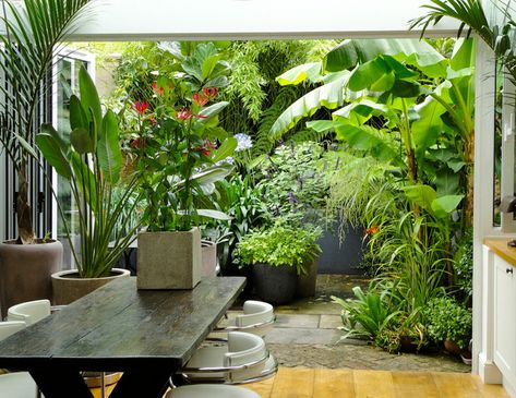 Landscape Tropical, Small Tropical Gardens, Balinese Garden, Small City Garden, Tropical Garden Design, Jungle Gardens, Courtyard Gardens Design, Gardening Landscaping, Estilo Tropical