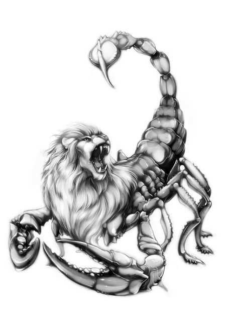 Scorpion Tattoo Drawing, Scorpio Zodiac Tattoos, Scorpio Art, Scorpio Tattoo, Leo And Scorpio, Leo Tattoos, Scorpion Tattoo, Tattoo For Son, Zodiac Tattoos