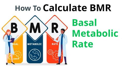 BMR (Basal Metabolic Rate) is the amount of energy (measured in calories) that the body needs to perform vital functions while at rest. Your BMR can help you determine how many calories you need to consume each day to maintain, lose weight or gain weight. Bmr Calculator, Basal Metabolic Rate, How To Regulate Hormones, Body Fat Percentage, Daily Energy, Strength Training Workouts, Muscle Tissue, Lean Body, Body Composition