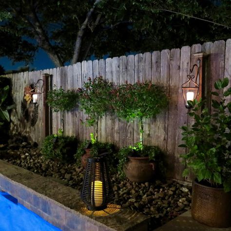 Pool Landscaping Lighting Ideas, Plants For Pool Area, Townhome Patio, Landscape Ideas For Backyard, Pool Remodel Ideas, Hidden Pool, Fence Plants, Pool Lighting, Outdoor Gardens Landscaping