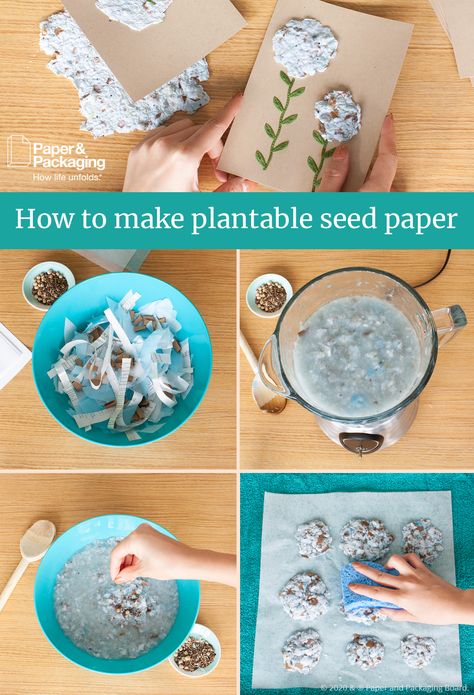 Spend some craft time with the kids making these paper seed cards they can mail to friends. It's the gift that'll keep on giving. 🌱 #seedpaper #DIYcards #plantablecard Diy Plantable Seed Paper, Homemade Seed Paper, Kids Garden Projects, Valentine’s Day Diy Gifts For Kids, Environmental Activities For Kids, Paper Seed Cards, Seed Cards, Make Your Own Paper, Homeschool Projects