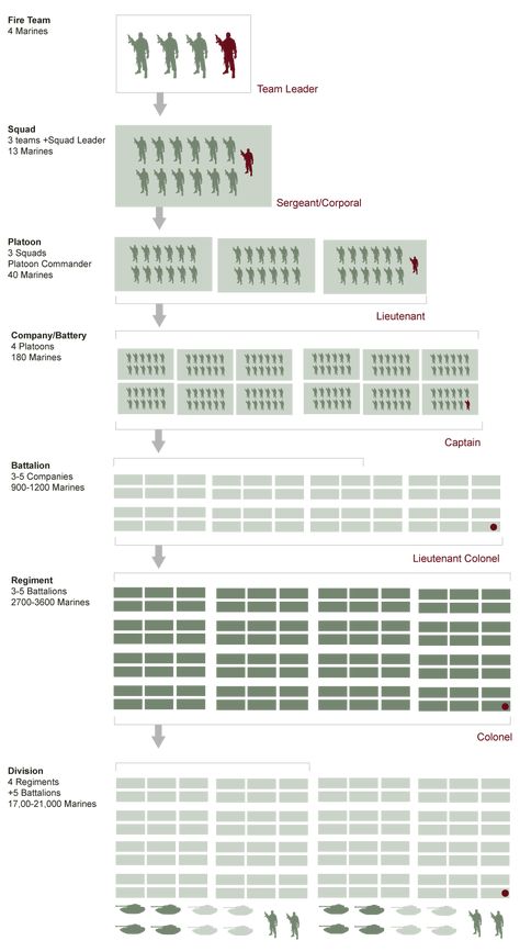 US Military Structure Chart | Army Rank Structure | VetFriends.com Marine Corps Rank Structure, Army Formation, Army Structure, Future Warfare, Army Divisions, Army Ranks, Military Tactics, Military Ranks, Military Records