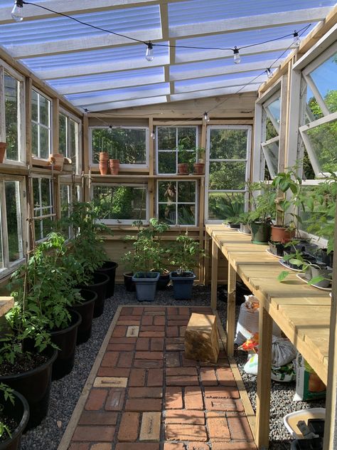 Windows Greenhouse, Gardening Beds, Dream Greenhouse, Designer Garden, Garden Shed Interiors, Window Greenhouse, House Gardening, Patio Gardens, Reclaimed Windows