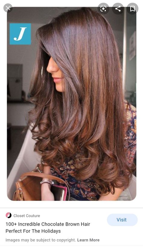 Best Hair Colour For Indian Skin Tone, Brown Hair Indian Skin, Hair Color For Warm Skin Tones, Global Hair Color, Hair Color For Brown Eyes, Cinnamon Hair Colors, Balayage Long Hair, Warm Hair Color, Hair Color Pictures