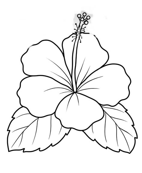 Flower Drawing Hawaiian, Hibiscus Flower Outline Drawing, Drawings Of Hibiscus Flowers, Big Flower Drawing Simple, Hibiscus Coloring Page, Flower Drawing Template, Hibiscus Outline Drawing, Lilly Flower Drawing Simple, Easy Flowers Draw