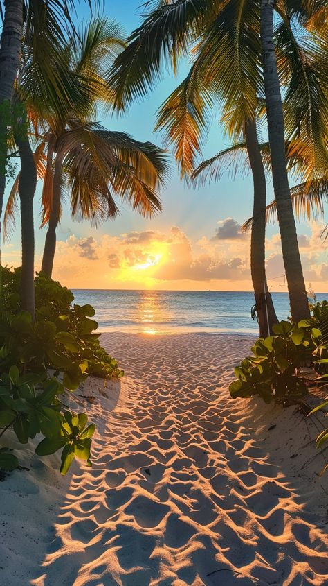 "Tropical Sunset Bliss: A #serenepathway flanked by #palmtrees leads to the #oceanview under a captivating #sunsetvibes. #natureart #serenitynow #aiart #aiphoto #stockcake ⬇️ Download and 📝 Prompt 👉 https://stockcake.com/i/tropical-sunset-bliss_413121_718514" Tropical Beach Aesthetic, Sunset Beach Palm Trees, Sea Beach Photography, Sunset With Trees, Palm Tree Landscape, Beach And Palm Trees, Sunset At Beach, Palm Tree Photo, Sunset Beach Photos