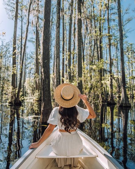 The 15 Best Charleston Nature Spots to Visit in 2022 Charleston Itinerary, Stunning Gardens, Charleston Beaches, Charleston Photography, Charleston Hotels, Cypress Gardens, Middleton Place, Charleston Travel, Stunning Nature