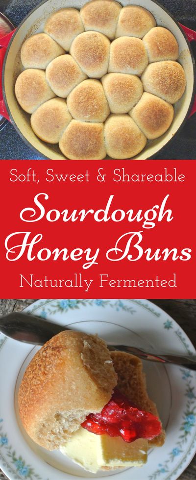 Soft, Sweet and Sharable Sourdough Honey Buns Sandwich Sourdough, Healthy Meals Ideas, Sourdough Rolls, Dinner Roll, Sourdough Starter Recipe, Honey Buns, Sourdough Baking, Perfect Dinner, Homemade Recipe