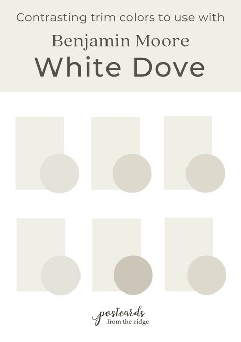 White Dove Benjamin Moore Walls, Dove Wing Benjamin Moore, White Dove Benjamin Moore, Dove Painting, Warm Paint Colors, Dark Trim, Shoji White, Benjamin Moore White, Trim Colors