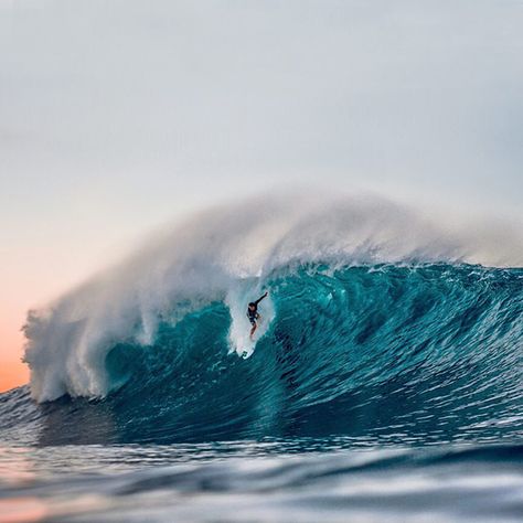 Couple bombs been rolling through down south. Tribesman Tommy Cantrell. Photo by Brent Hickey. ‪#‎hippytreetribe‬ ‪#‎surfandstone‬ Surfing Poster, Surfing Aesthetic, Surf Aesthetic, Big Wave Surfing, Water Surfing, Surf Turf, Outdoor Exercises, Surf Vibes, Surfing Pictures