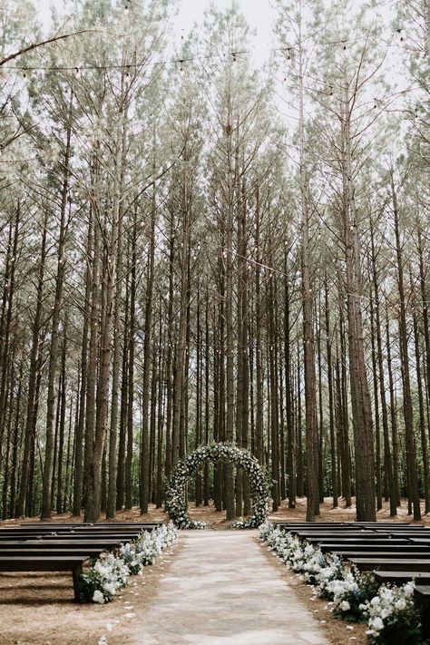 Wedding Ceremony Pine Trees, Pine Colored Wedding, Forest Wedding Tennessee, Outdoor Wedding Pine Trees, Foothills Parkway Tennessee Wedding, Wedding Pine Trees, Folklore Wedding Theme, New England Forest Wedding, Boho Wedding Venues Outside