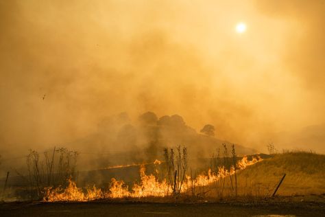 The annual World Meteorological Organization (WMO) report, published last month, observed a long-term trend of rising temperatures and increasing extreme weather events that make the climate crisis impossible to ignore or deny. Emergency Go Bag, California Wildfires, Healthy Changes, Emergency Plan, Climate Crisis, The Future Is Now, Emergency Prepping, Forest Fire, Extreme Weather