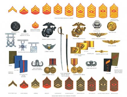 Us Marines Uniform, Marine Corps Insignia, Usmc Ranks, Marine Corps Uniforms, Usmc Mom, Marine Corps Ranks, Once A Marine, Wwii Uniforms, Military Ranks