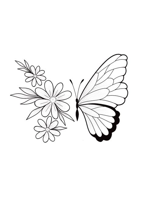 Glass Painting Designs Pattern Printable, Butterfly Outline, صفحات التلوين, Hand Embroidery Patterns Flowers, Pola Sulam, Butterfly Drawing, 수채화 그림, Outline Drawings, Hand Embroidery Design Patterns